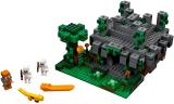 LEGO 21132